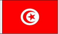 Tunisia Hand Waving Flags